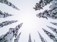 Riisitunturi National Park